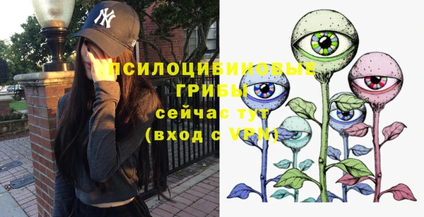 мдма Бородино